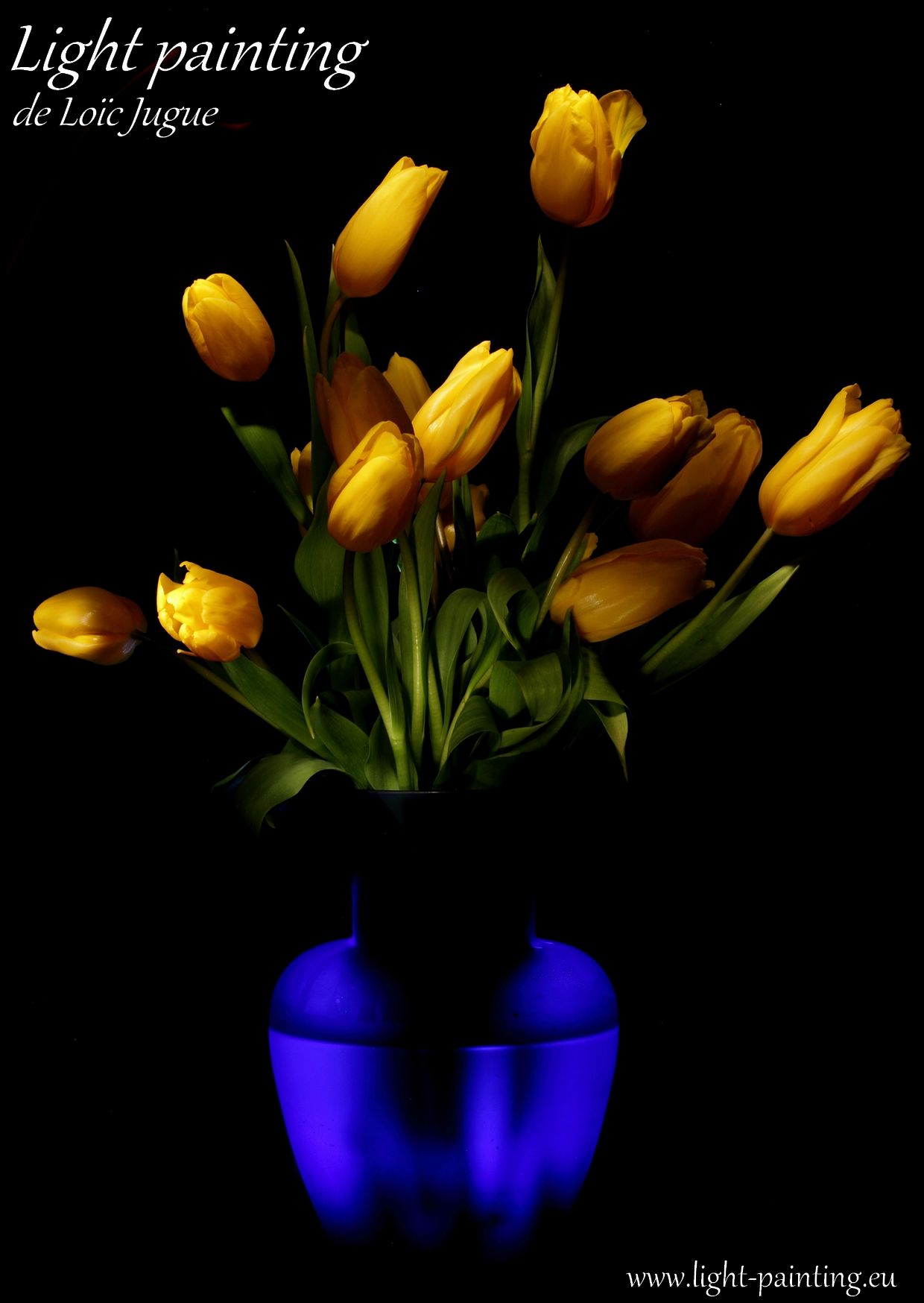 Les light paintings de Loïc Jugue, Tulipes jaunes dans vase bleu